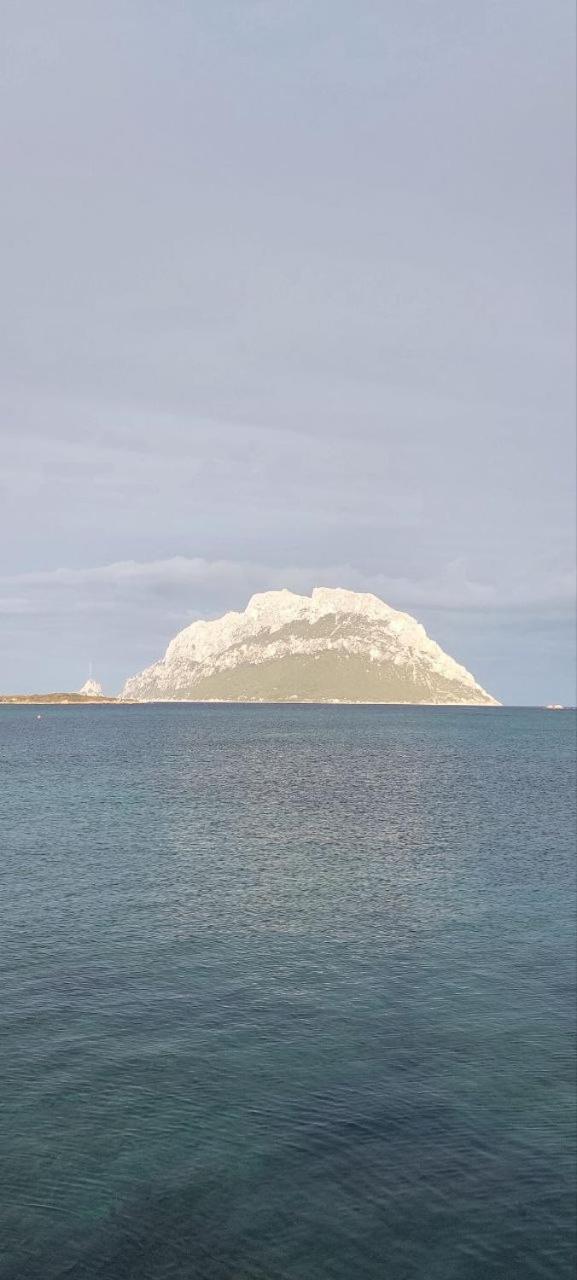 Porto San Paolo A 50 Mt Dal Mare Βίλα Δωμάτιο φωτογραφία
