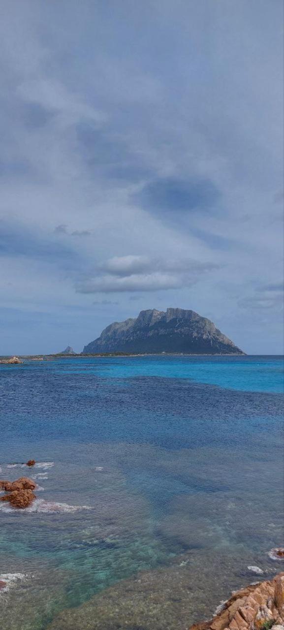 Porto San Paolo A 50 Mt Dal Mare Βίλα Δωμάτιο φωτογραφία