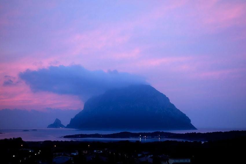 Porto San Paolo A 50 Mt Dal Mare Βίλα Δωμάτιο φωτογραφία