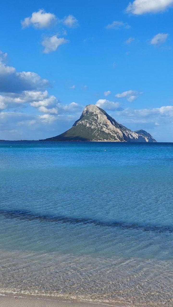 Porto San Paolo A 50 Mt Dal Mare Βίλα Δωμάτιο φωτογραφία