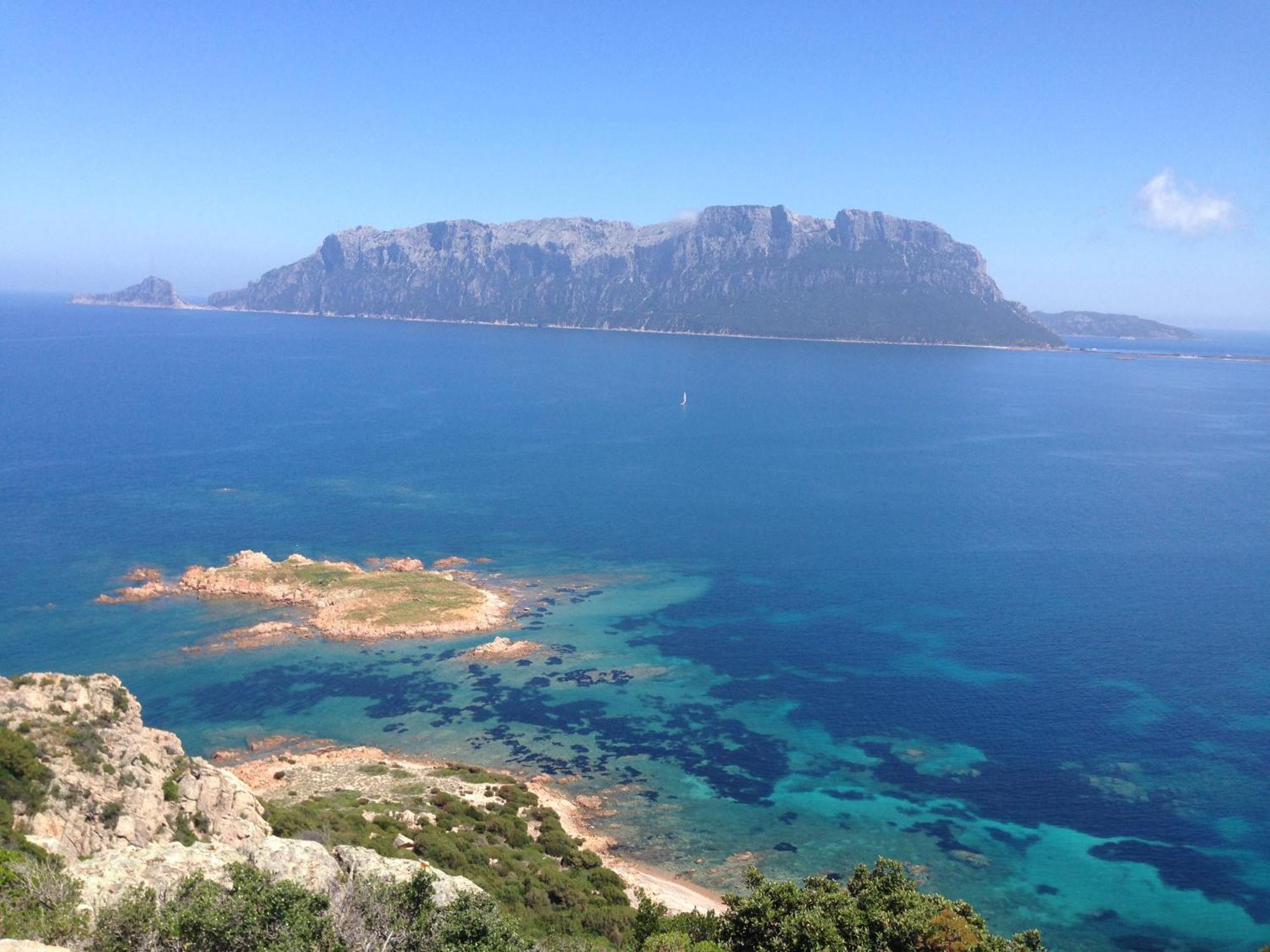 Porto San Paolo A 50 Mt Dal Mare Βίλα Δωμάτιο φωτογραφία